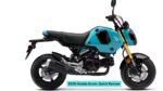 2025 Honda Grom: Quick Review